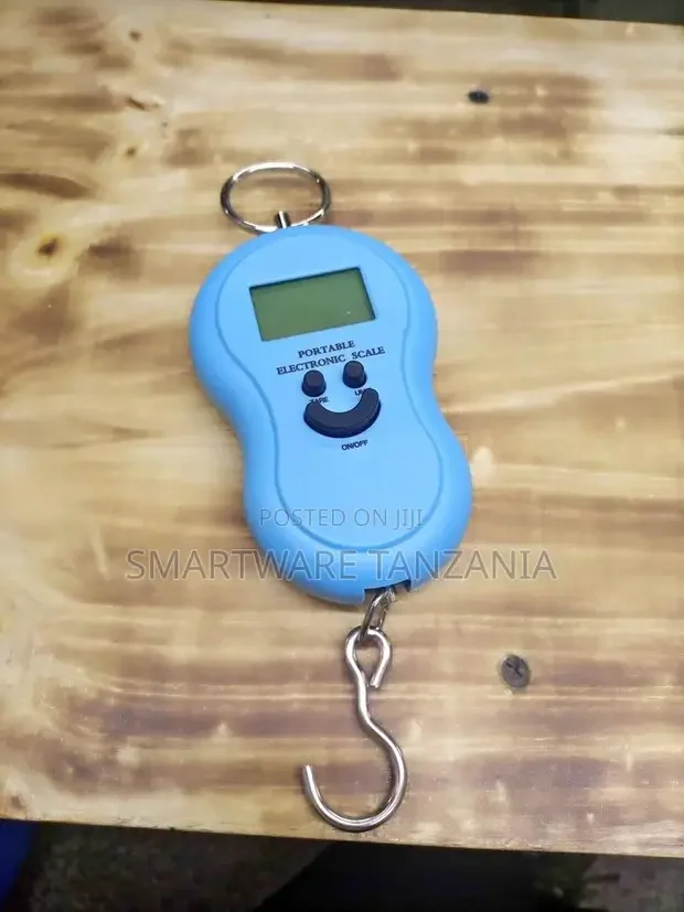 Digital Portable Scale Hand Bag Fish Suitcase Up To 50kg - Buy in Dar es Salaam, Tanzania | Smartware