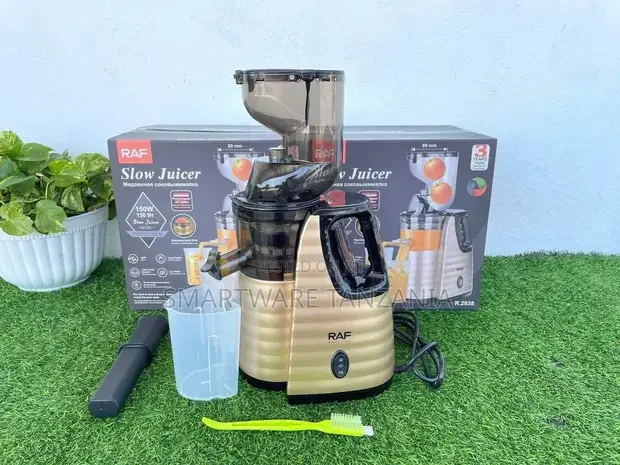 Dual Speed Cold Press Professional Electric Slow Juicer - Buy in Dar es Salaam, Tanzania | Smartware