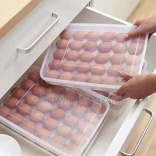 Egg Storage Box Lidded Reusable Daily Use Fridge Egg Box
