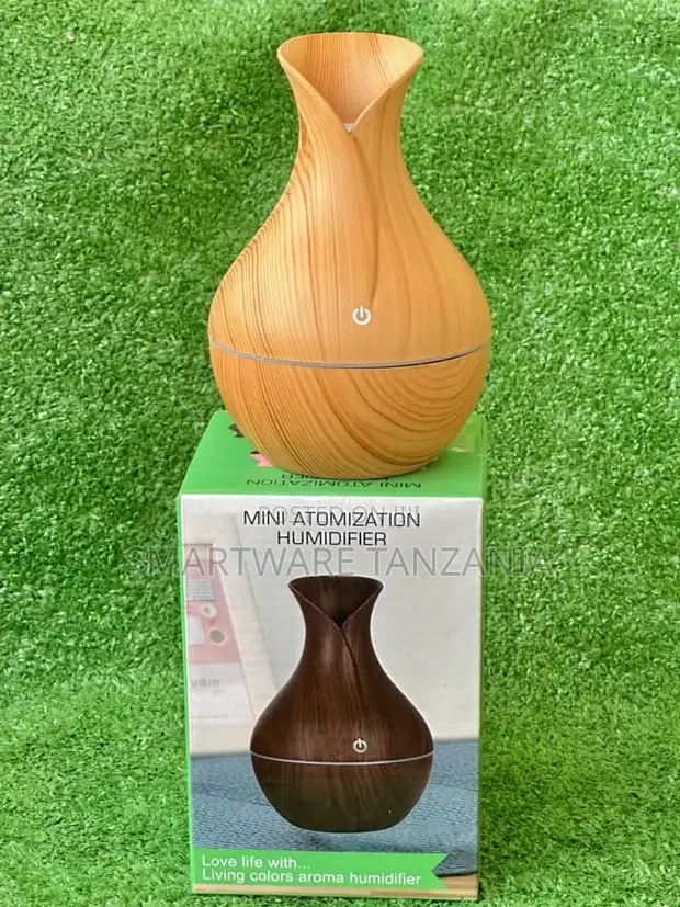 Essential Oil Diffuser Air Purifier Humidifier Aromatherapy