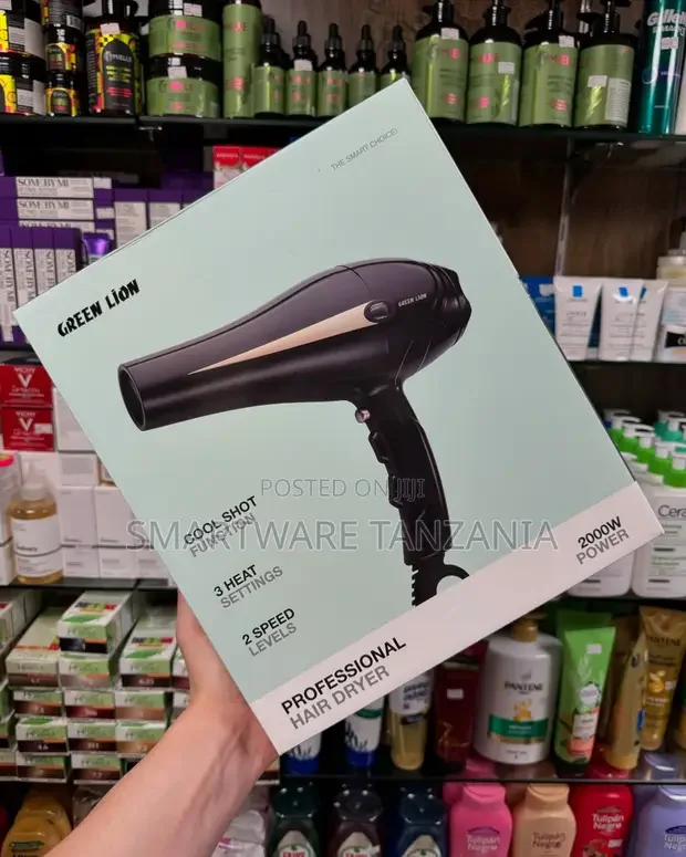 Green Lion Professional Hair Dryer 2000W - Buy in Dar es Salaam, Tanzania | Smartware