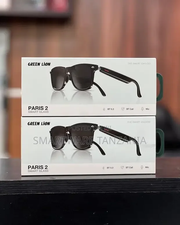 Green Lion Paris 2 Smart Glasses With Bluetooth 5.3 and Mic