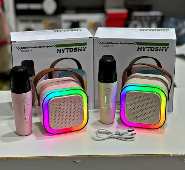 Portable Bluetooth Karaoke Machine with Microphone - Buy in Dar es Salaam, Tanzania | Smartware