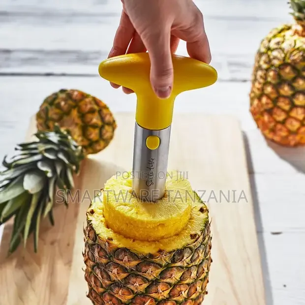 Pineapple Slicer Peeler Cutter Knife - Buy in Dar es Salaam, Tanzania | Smartware