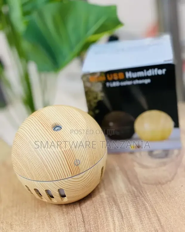 Room Mini Portable Wood Aromatherapy Humidifier Diffuser