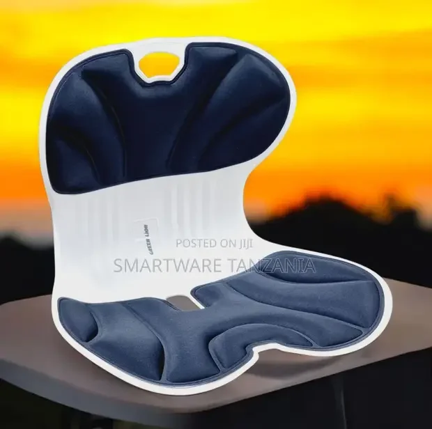 Ergonomic Lumbar Support Seat Cushion - Buy in Dar es Salaam, Tanzania | Smartware
