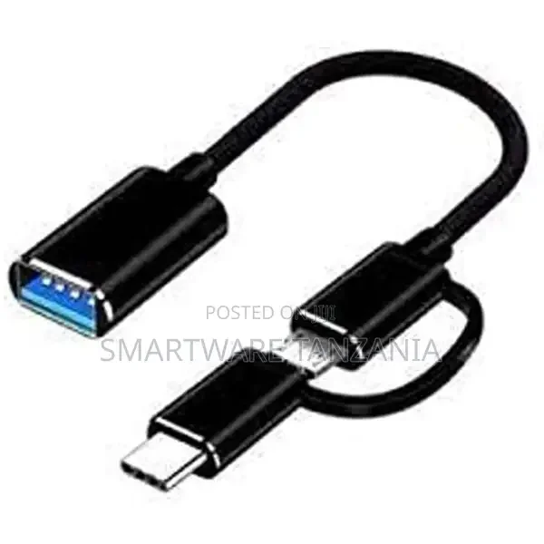 Two in One OTG USB 3.1 Type-C and Micro Connection - Buy in Dar es Salaam, Tanzania | Smartware