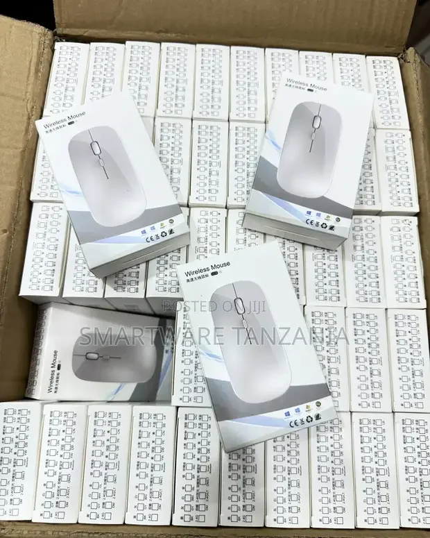 Wireless Mouse with High Pointer Speed - Buy in Dar es Salaam, Tanzania | Smartware