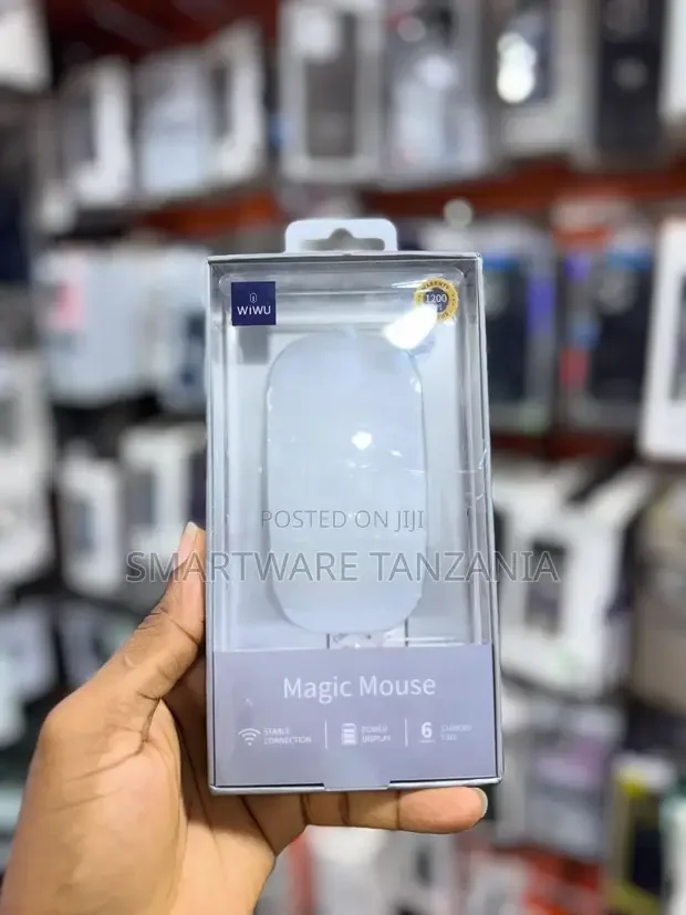 Wiwu Magic Mouse Wireless - Buy in Dar es Salaam, Tanzania | Smartware
